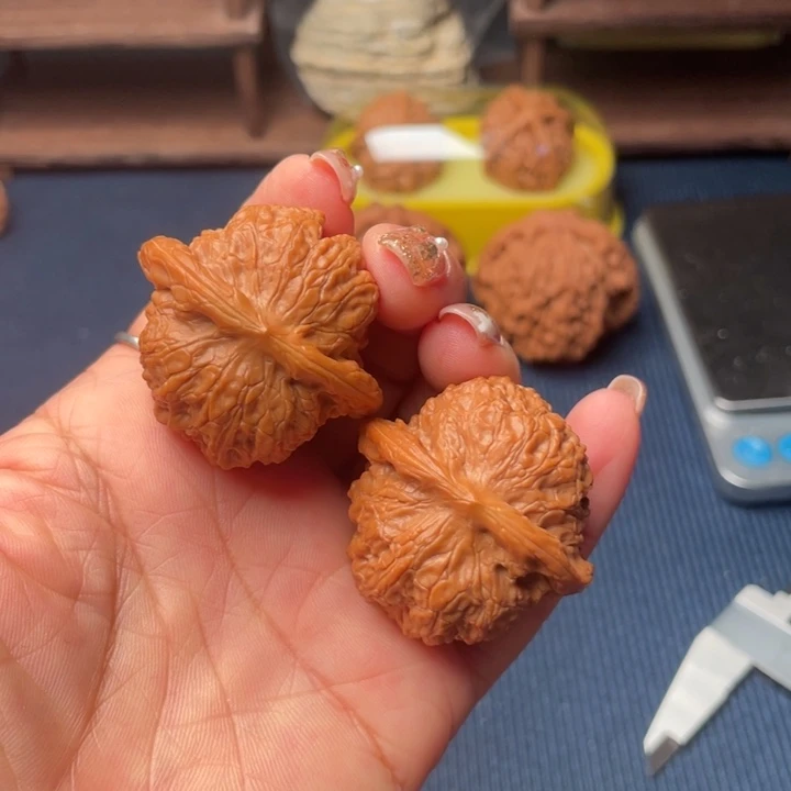 核桃39血麒麟000000