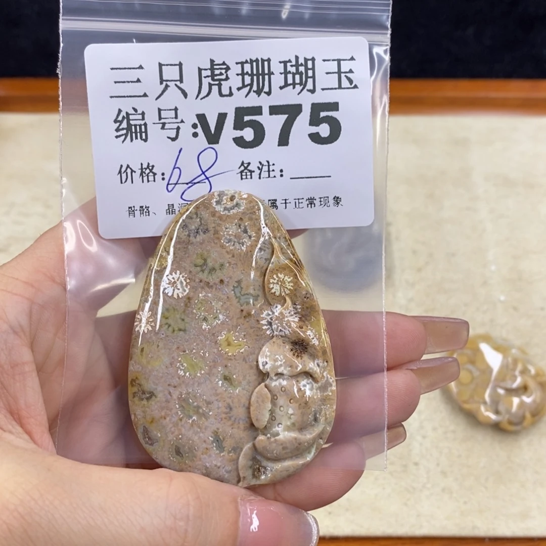 硅化珊瑚（珊瑚玉）未镶嵌11*灯