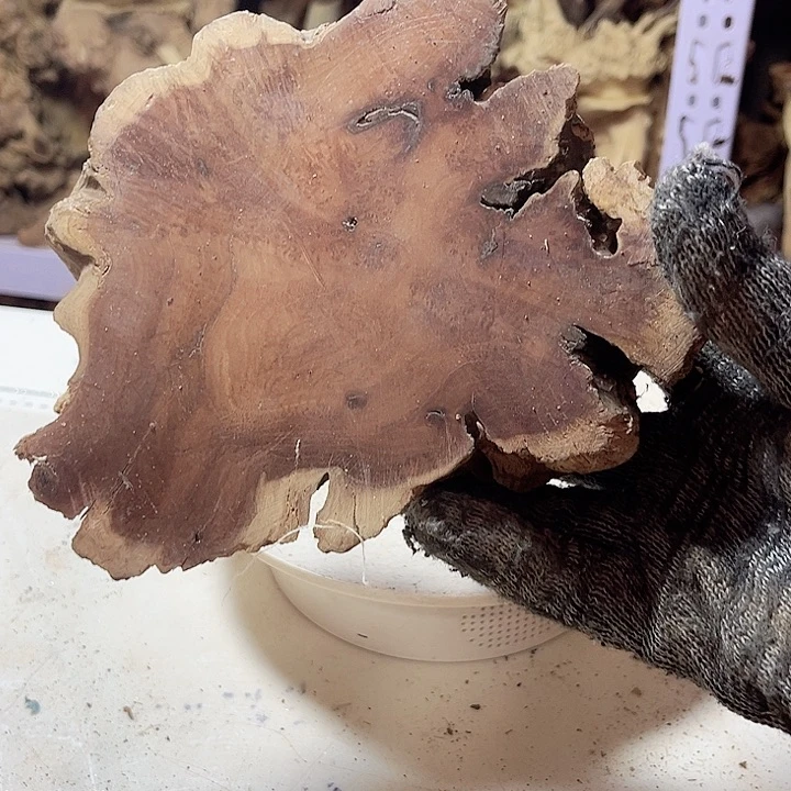 香榧木发信息吧你在