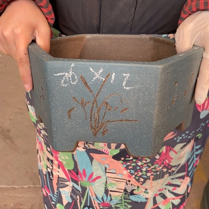 花盆紫砂只顾看手机