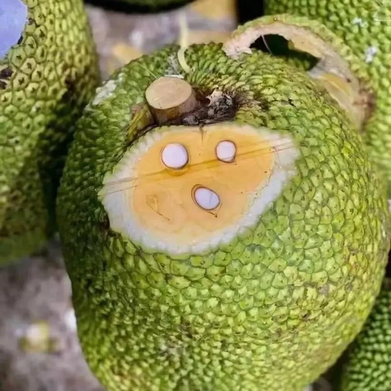 菠萝蜜6斤左右，38/个