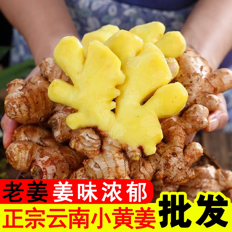 【精选老姜】姜味浓郁现挖正宗云南高山小黄姜老黄姜新姜月子姜批发