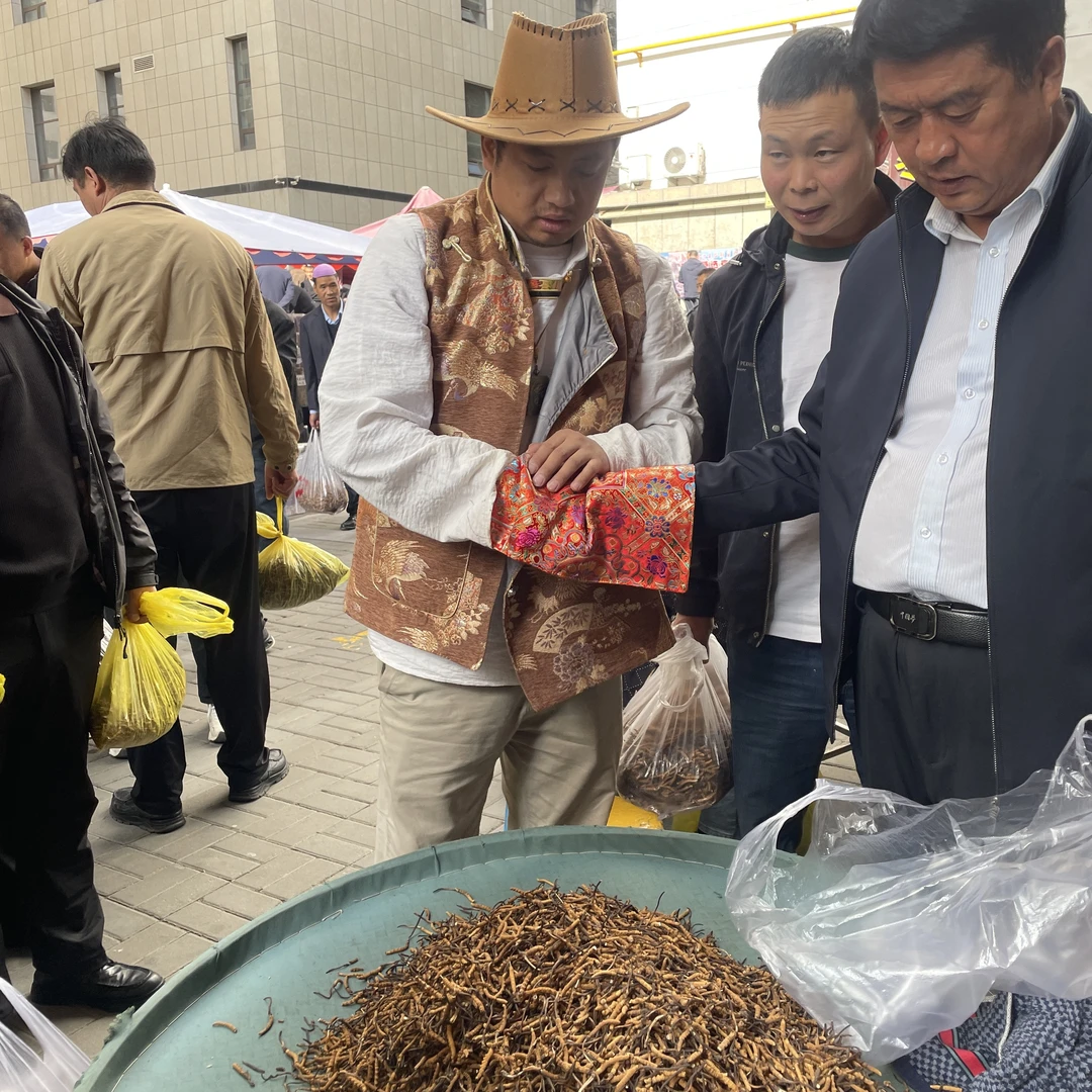 （实收现卖）100根2025年新货冬虫夏草实收现卖自然晒干品质滋补