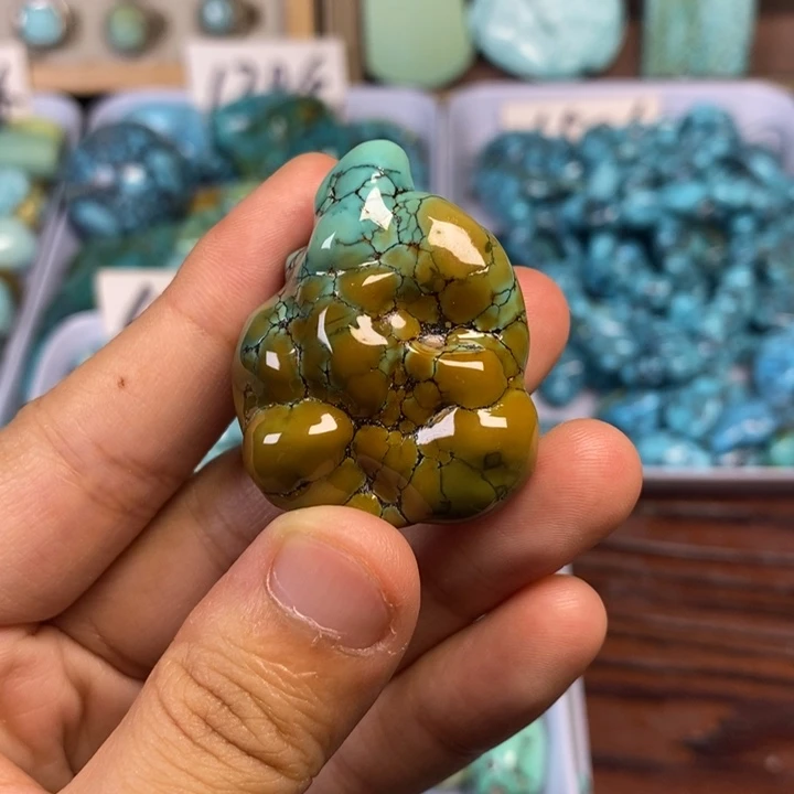 绿松石未镶嵌颈饰