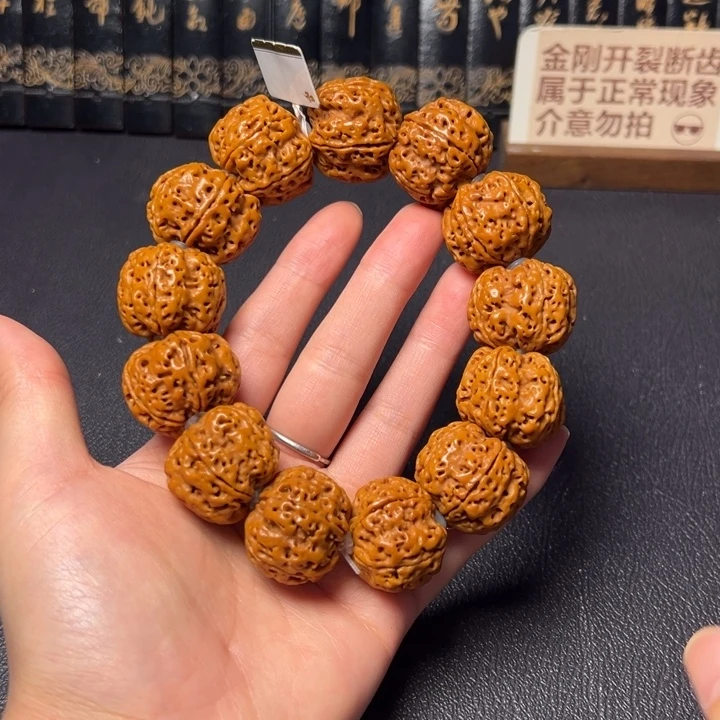 手串金刚菩提霸王龙