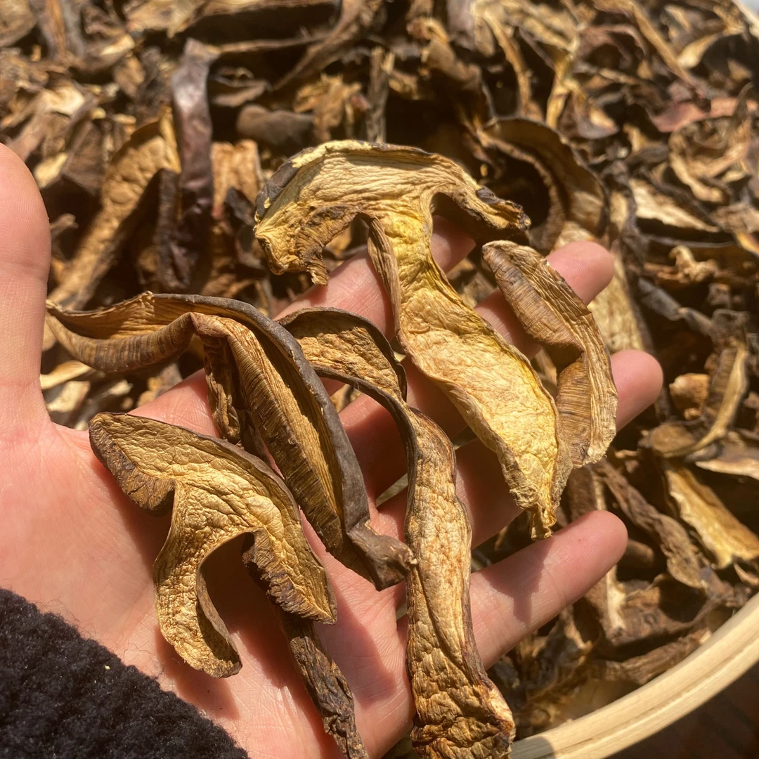 云南高原特产—小黑头黑牛肝菌手工精选香气浓郁清脆