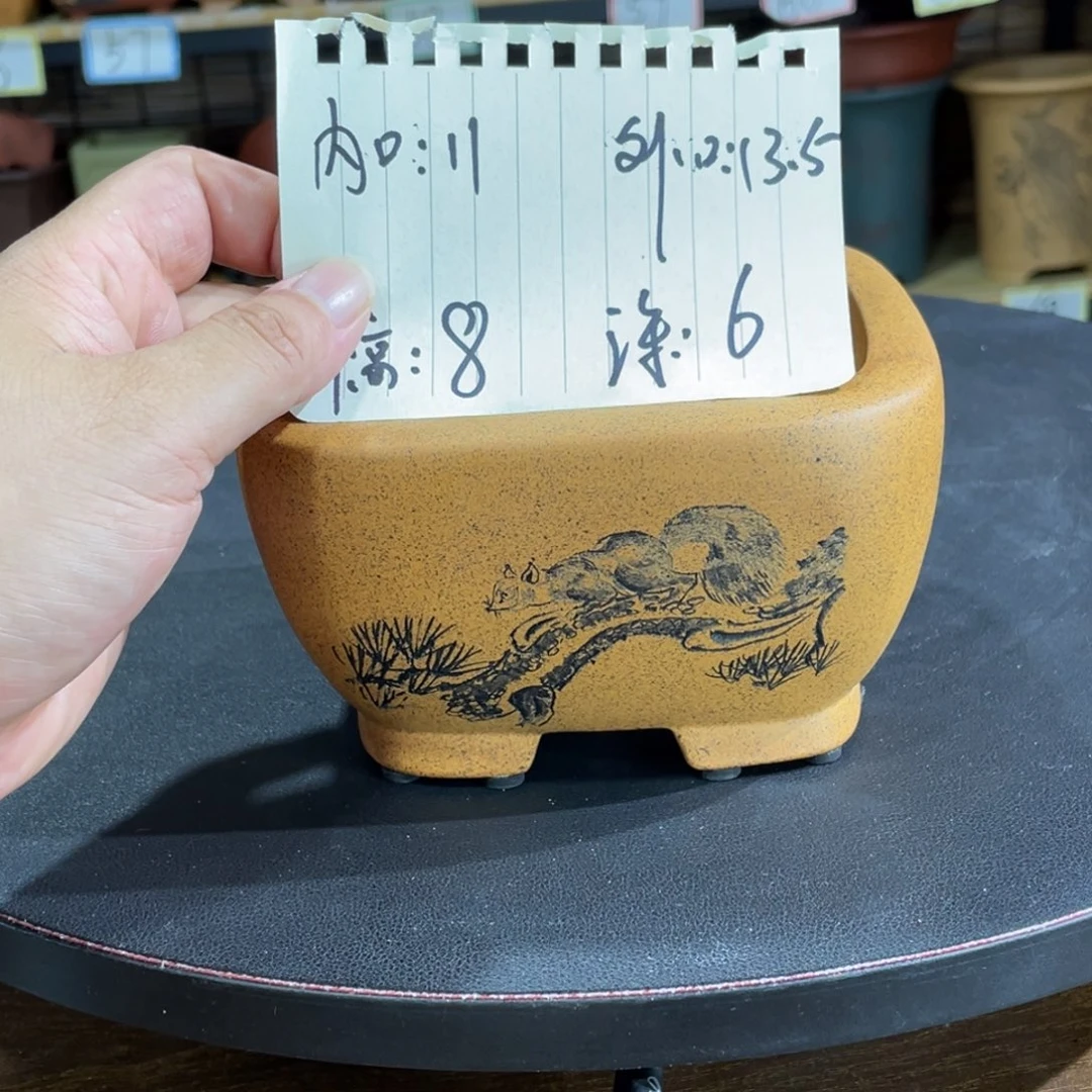 紫砂花盆紫砂花盆在这里