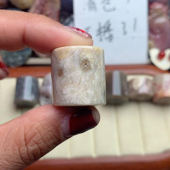 硅化珊瑚（珊瑚玉）颈饰未镶嵌