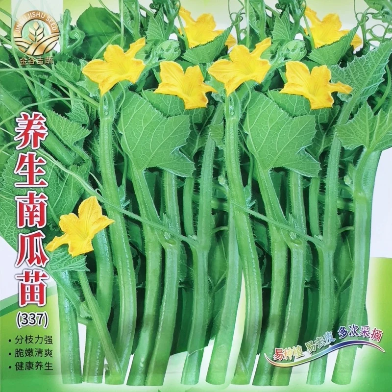 南瓜尖种子南瓜颠南瓜苗种籽脆嫩清爽无苦涩春夏秋冬四季蔬菜种孑