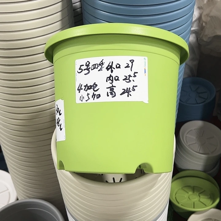 特价5号四季口29高24.5果绿无托6只