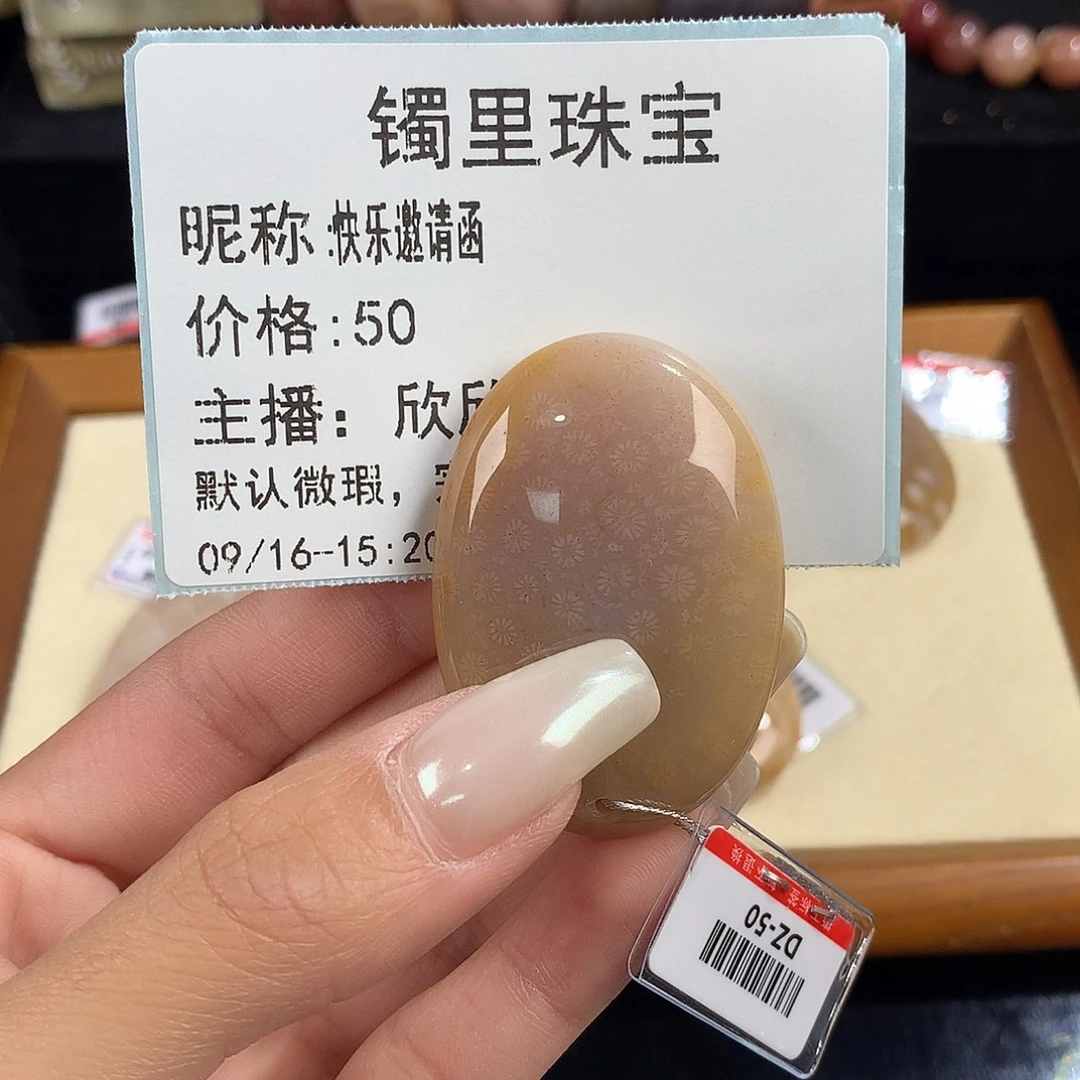 快***函吊坠(赠链)未镶嵌硅化珊瑚（珊瑚玉）