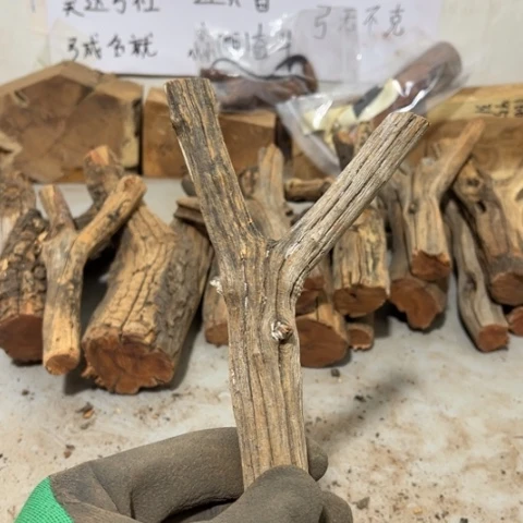 大果紫檀（缅甸花梨）无****堂
