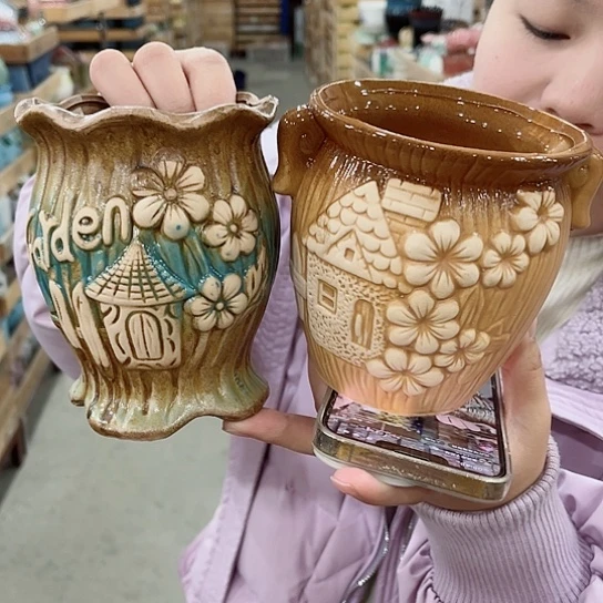 红陶花盆里还有几棵树上