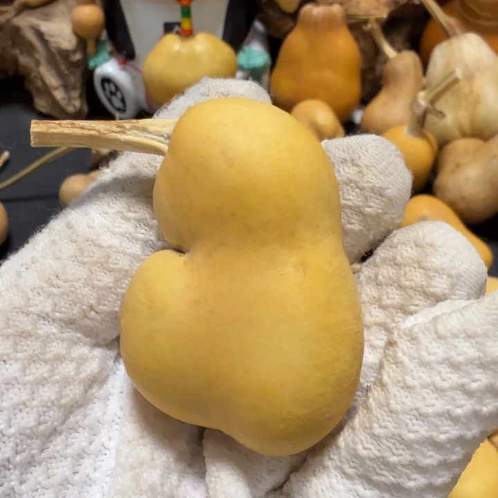 1***道666666666677777777