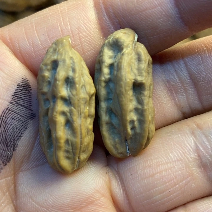 吊坠文玩核桃娜姐226