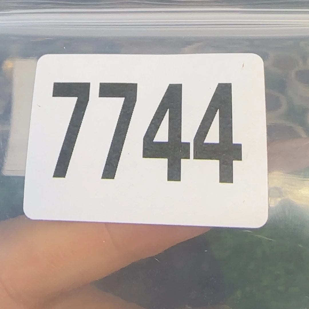 新号开播福利多多