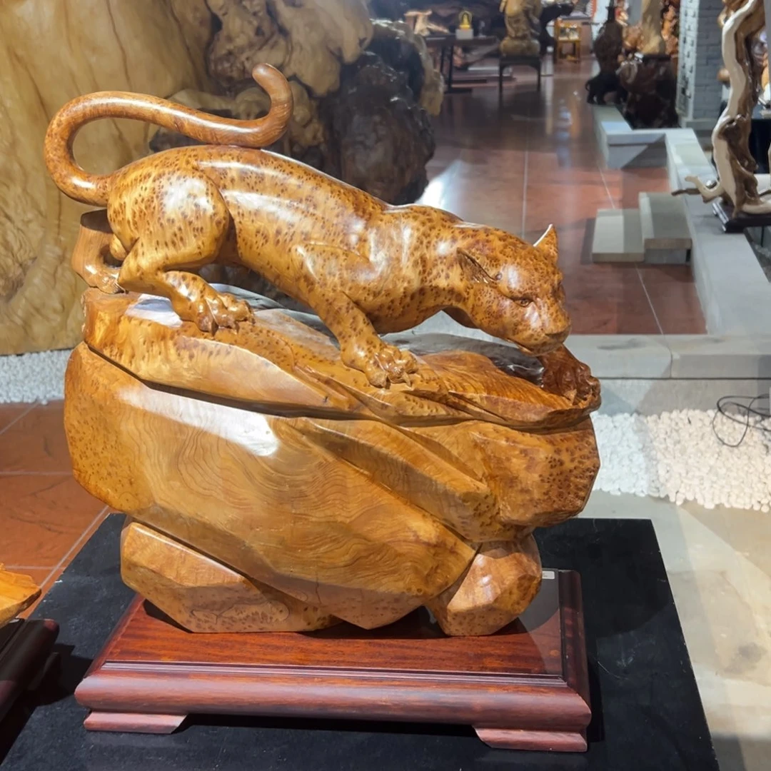 韩***~香榧木xxccvvghhhjjjjj