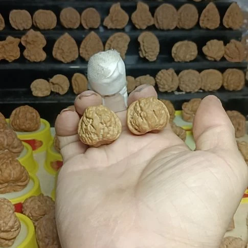 M***U核桃蛤蟆头成品对
