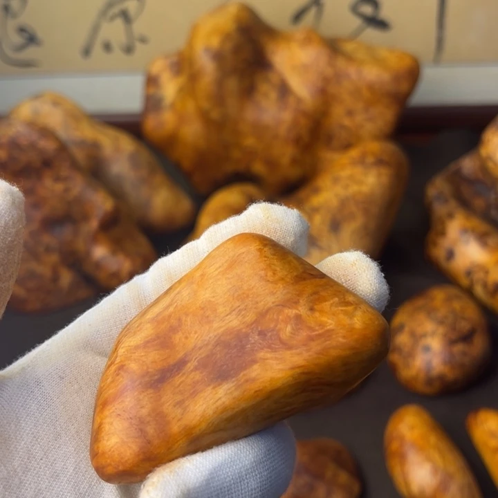 琥珀木长白山琥珀木