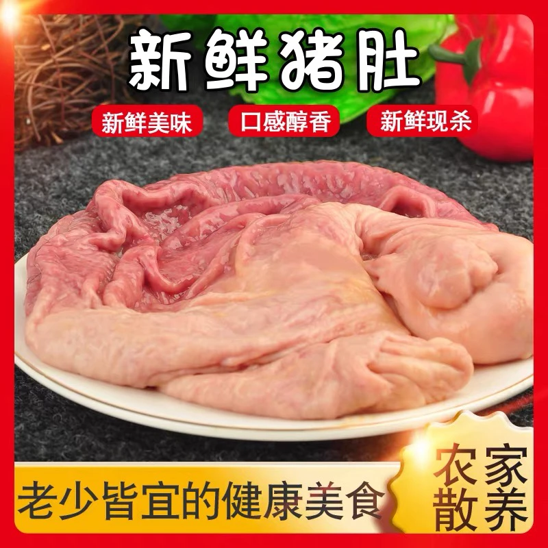 鲜猪肚-吉林散养土猪笨猪肚5斤(带少量油边)
