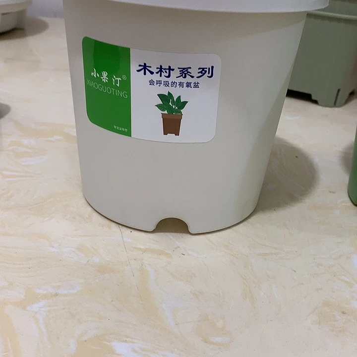 小果汀15口白10个无托