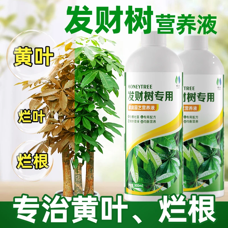 【组合更优惠】领沃发财树专用营养液观音竹黄叶绿植水培通用液体肥