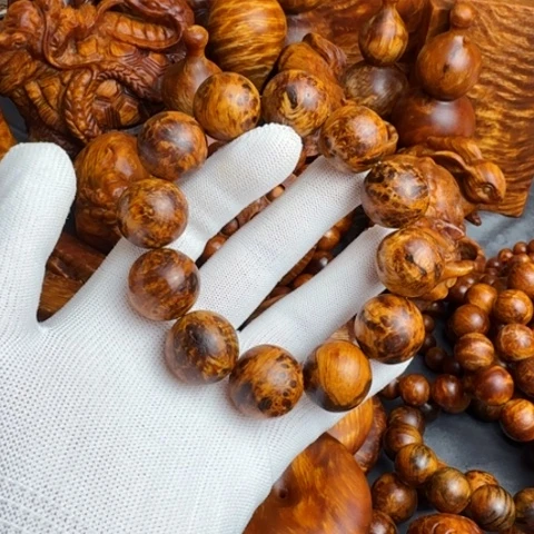 松木（琥珀木）其他