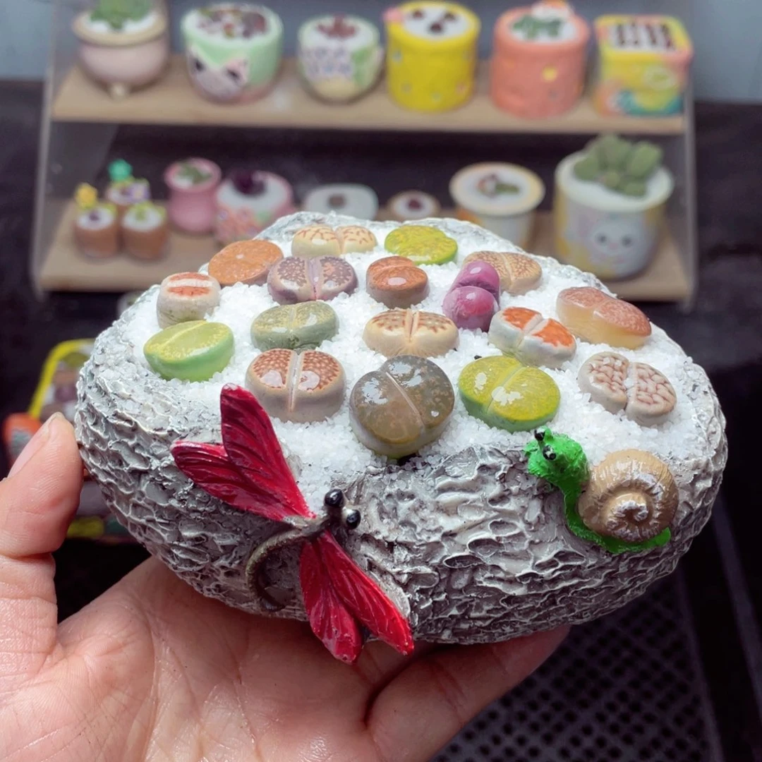 w 1029 带盆土发货 -零下地区拍保温箱