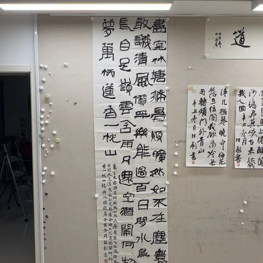 老***哥书法张彪 书法 14平尺