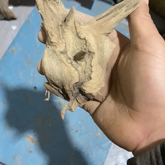 崖***木柏木我也是一个非常