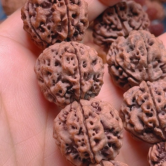 手串金刚菩提L136/22/5