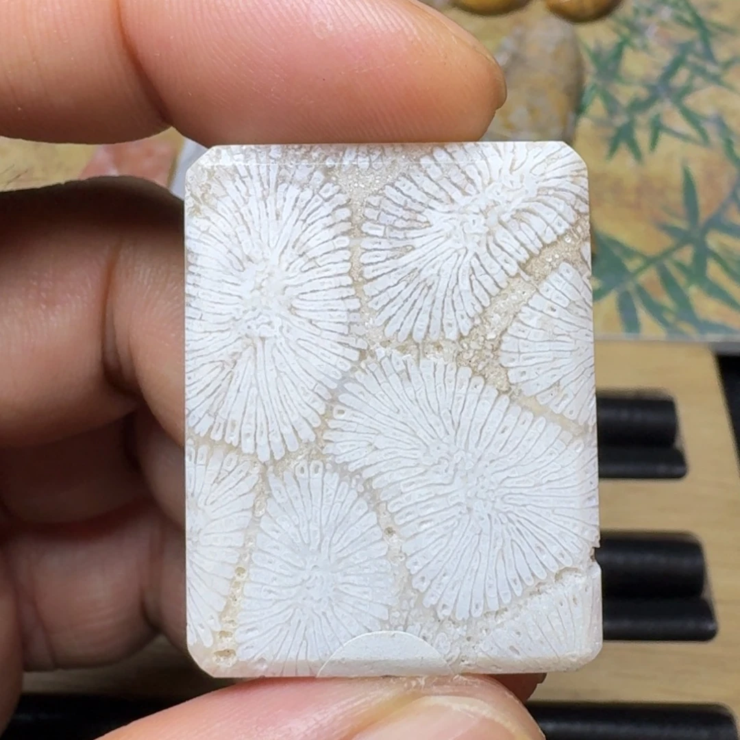 硅化玉纯天然色有机玉石保真色未镶嵌