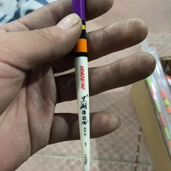 黑潮羽毛电子漂3.03克一根