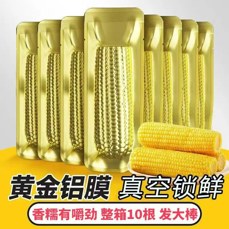 【试吃3根】东北黄糯玉米软糯香黏铝箔包装单棒240g-300g整箱8大棒