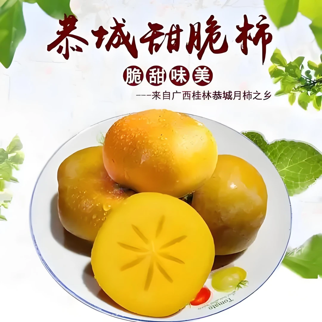 广西桂林恭城瑶山甜脆柿{独立真空包装}《京东快递包邮》水果柿