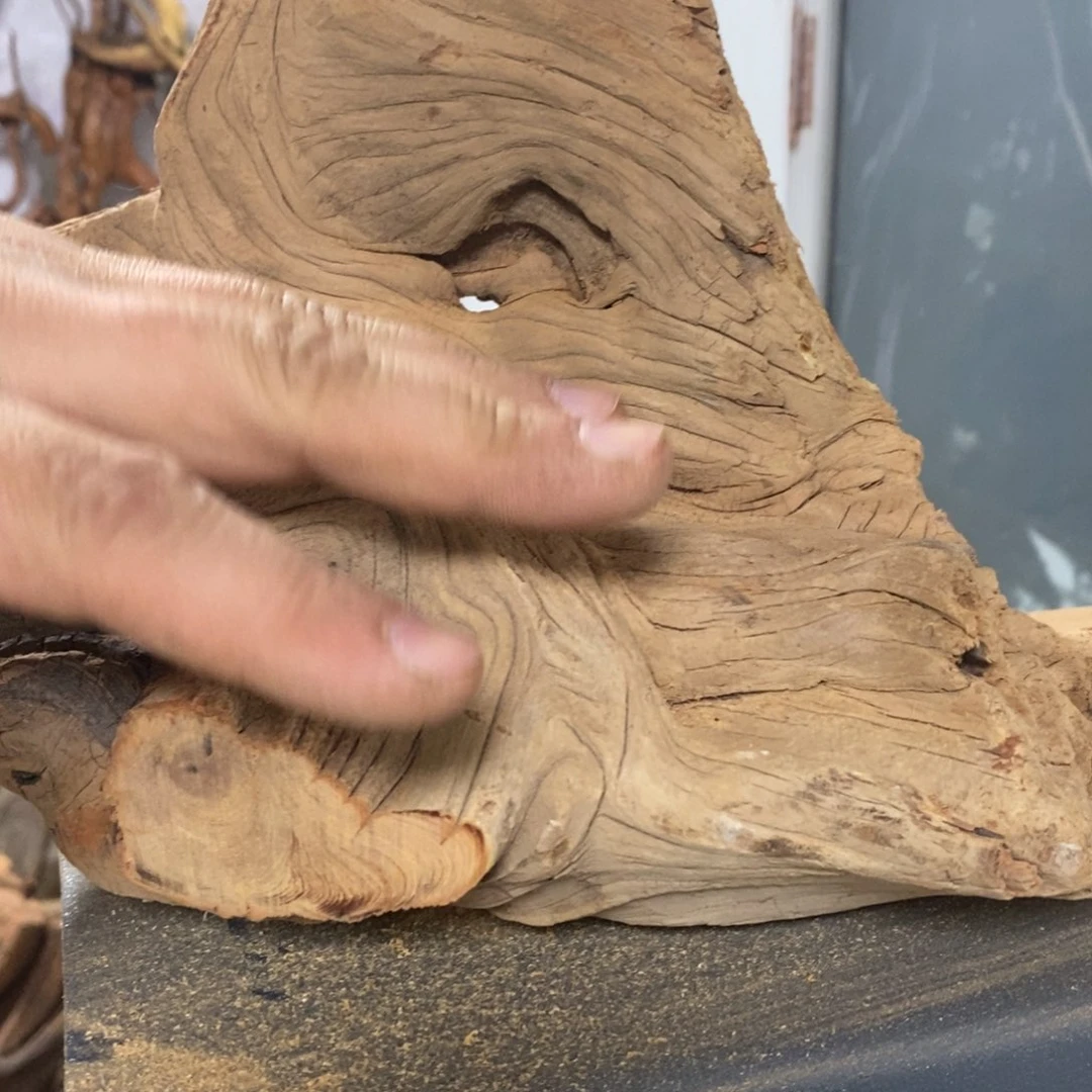 柏木陈*宝我们都是好孩子