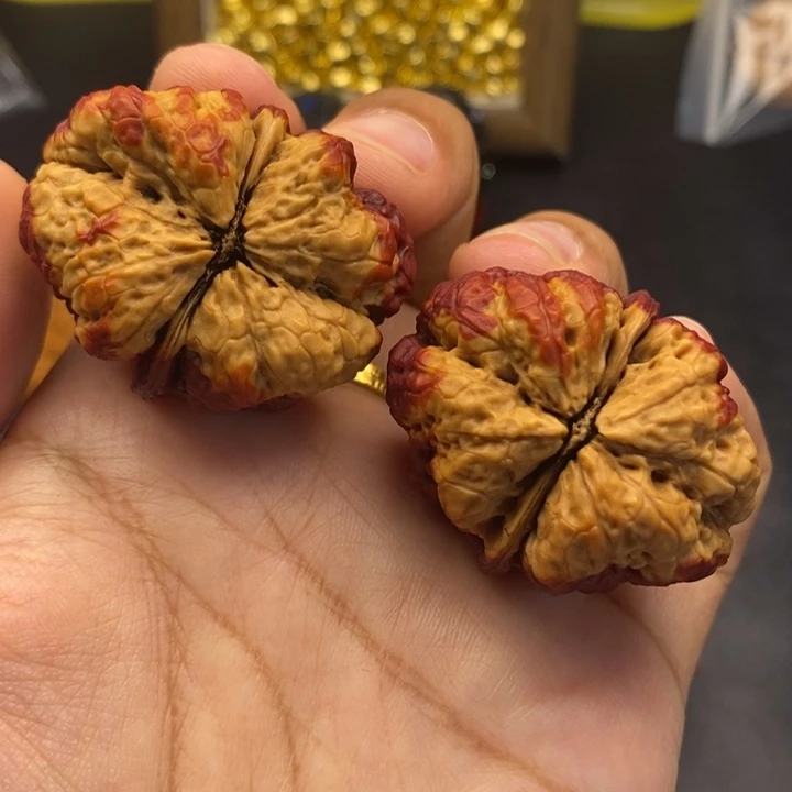 文玩核桃把件39尺蝴蝶蟾
