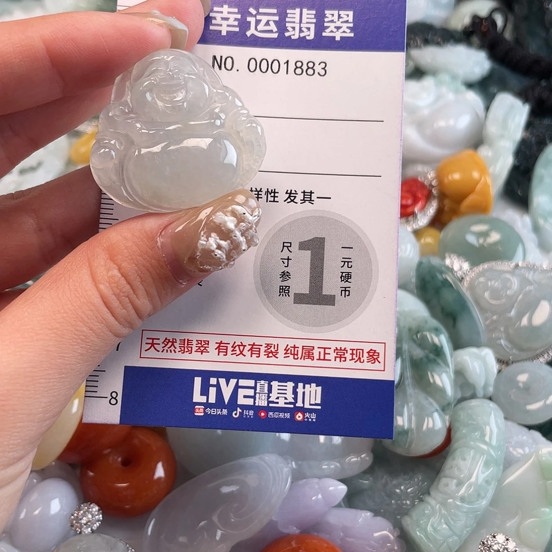 翡翠未镶嵌颈饰1883