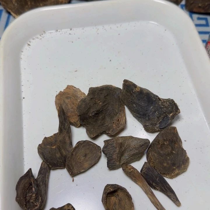 木母树绿奇包头树丁料41克