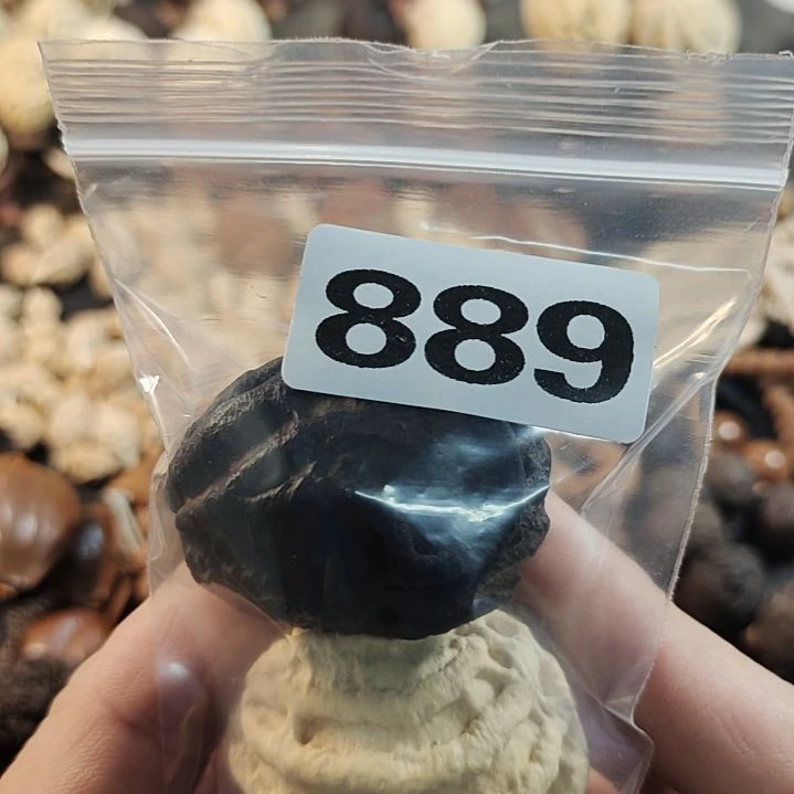 文玩核桃吊坠杯*文玩核桃