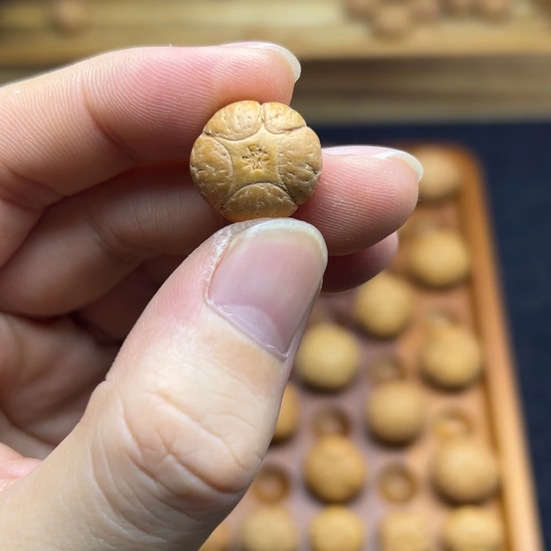 凤眼菩提手串16.8五星上将