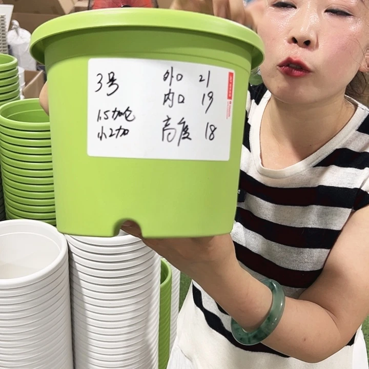 特价3号四季口21高18白色10只无托