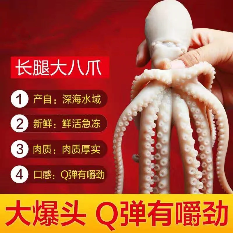 优选网红长腿/短腿爆头八爪鱼连云港海捕冰鲜速冻新鲜海鲜水产