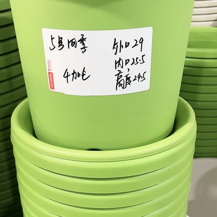 特价5号口29高24.5白色5只无托