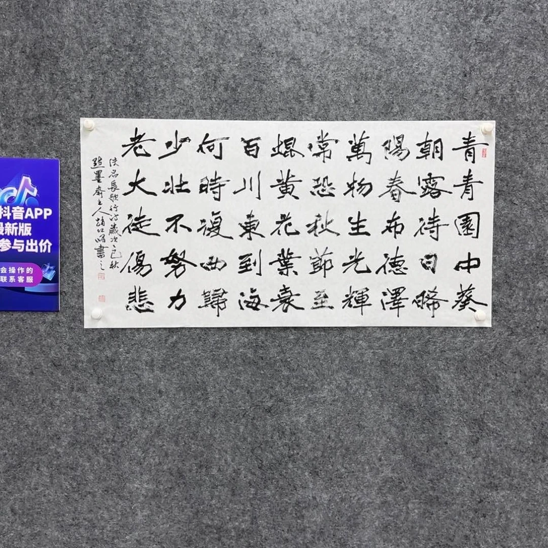 书法书法ZHX老师作品