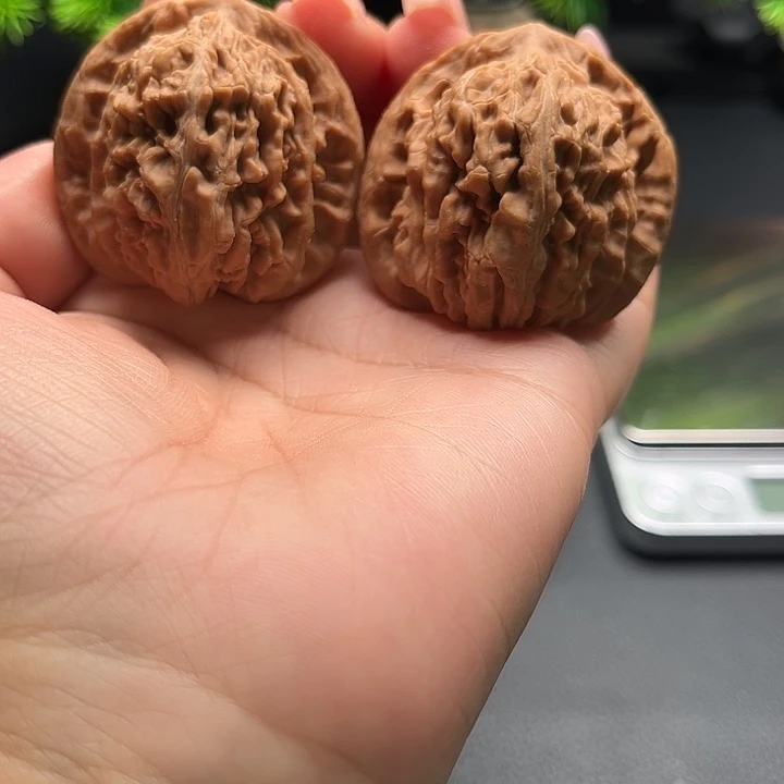 核桃42四座楼全品