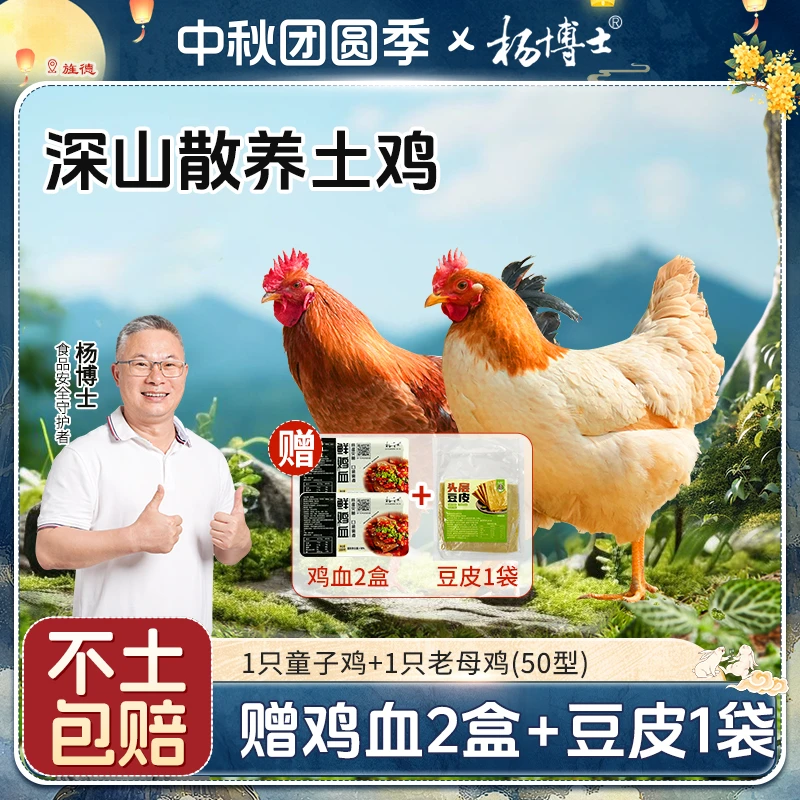 【母子组合】杨博士正宗土鸡皖南深山散养老母鸡+童子鸡新鲜现杀