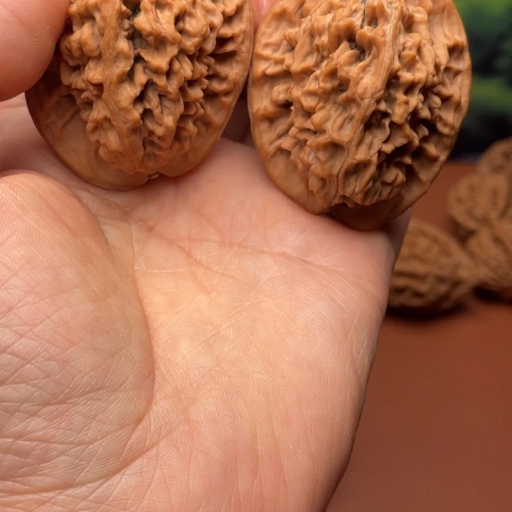 阔***子大叶紫檀（黑酸枝木类）