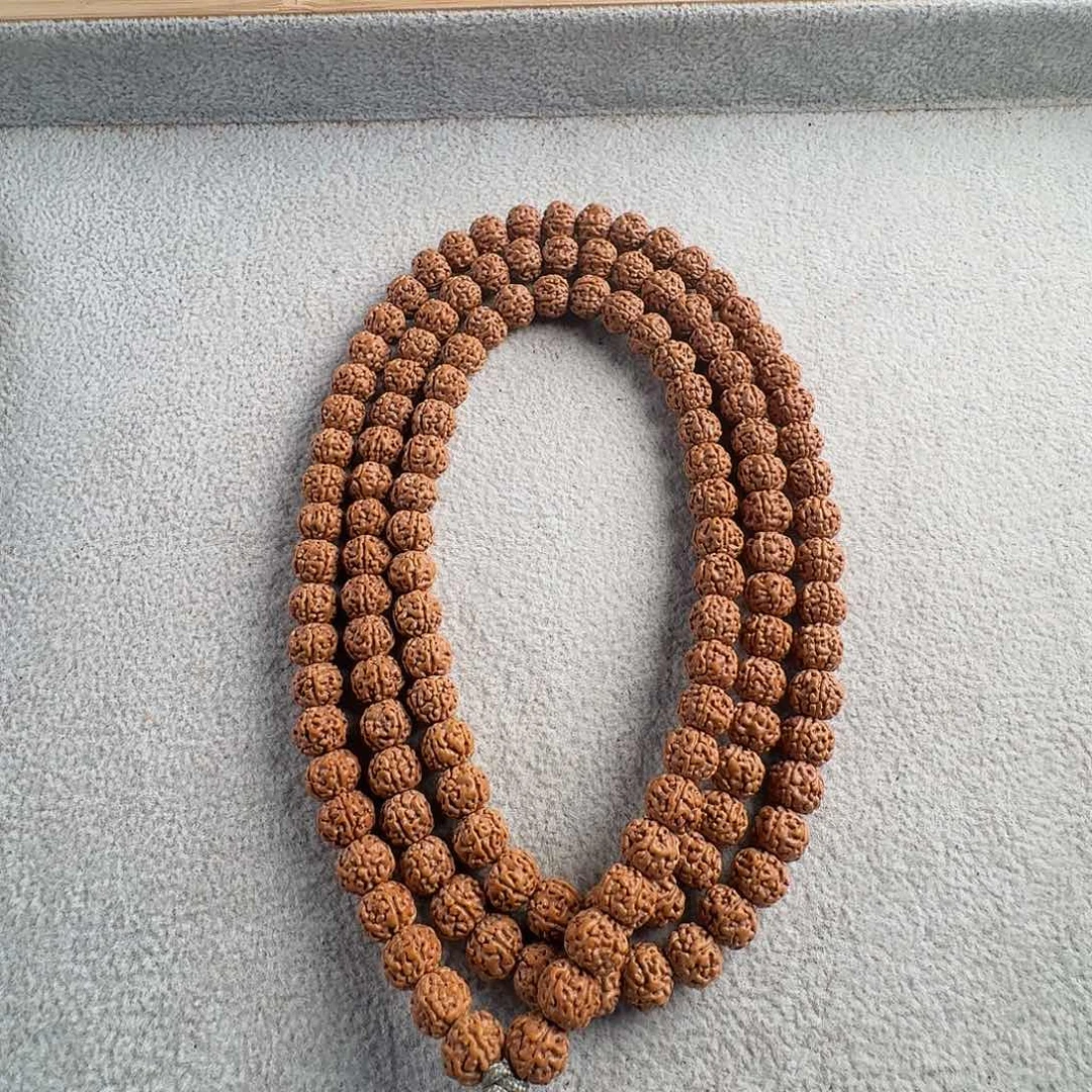 金刚菩提吊坠福利闷墩龙