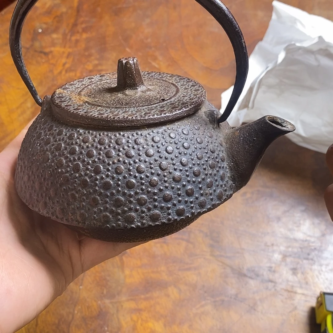 更喜欢细菌学家出口